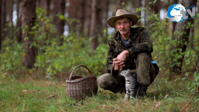 Cieszanów Cztery – Pory Roku -Jesień