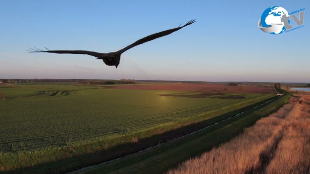 Cieszanów – Cztery Pory Roku -Wiosna
