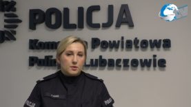 Policyjne podsumowanie miesiąca listopada w powiecie