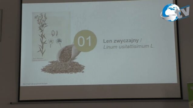 Finał III Ogólnopolskiego Konkursu Gastronomicznego „SLOW FOOD 2024” cz 3