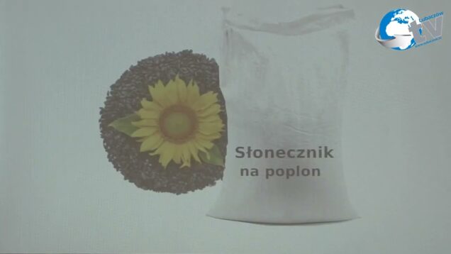 Finał III Ogólnopolskiego Konkursu Gastronomicznego „SLOW FOOD 2024” cz 4