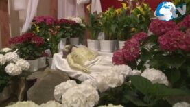 Liturgia Wielkiej Soboty w Lubaczowie cz 2