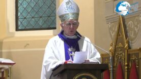 Obchody Święta Policji w Lubaczowie 2025 cz, 1