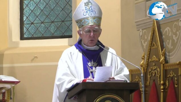 Obchody Święta Policji w Lubaczowie 2025 cz, 1