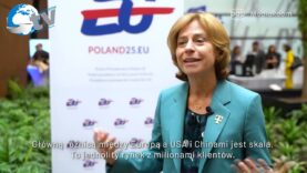 Sektor telekomunikacyjny w UE potrzebuje jednolitego rynku i prostych regulacji