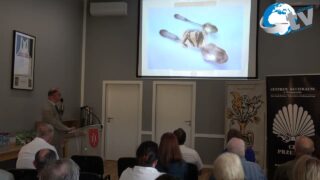 HISTORIA KRESOWYCH MIASTECZEK – Jaworów – Miasto moich przodków – Tomasz Kuba Kozłowski