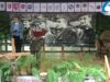 XIII Koncert Piosenki Partyzanckiej w Szałasie nad Tanwią w Hucie Różanieckiej cz. 2.