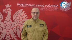 Podsumowanie miesiąca lipca przez KP PSP w Lubaczowie.